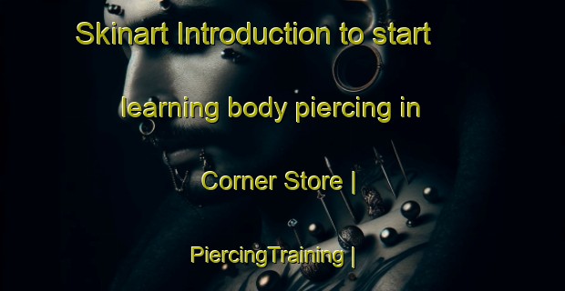 Skinart Introduction to start learning body piercing in Corner Store | PiercingTraining | PiercingClasses | SkinartTraining-United States